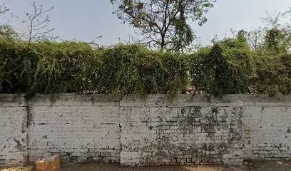 CN Sports Academy Athletics Track and Field — Athletics in Ambawadi