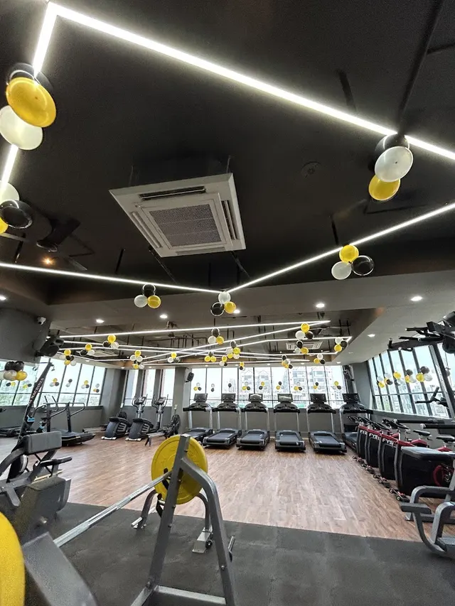 Sculptures Gym