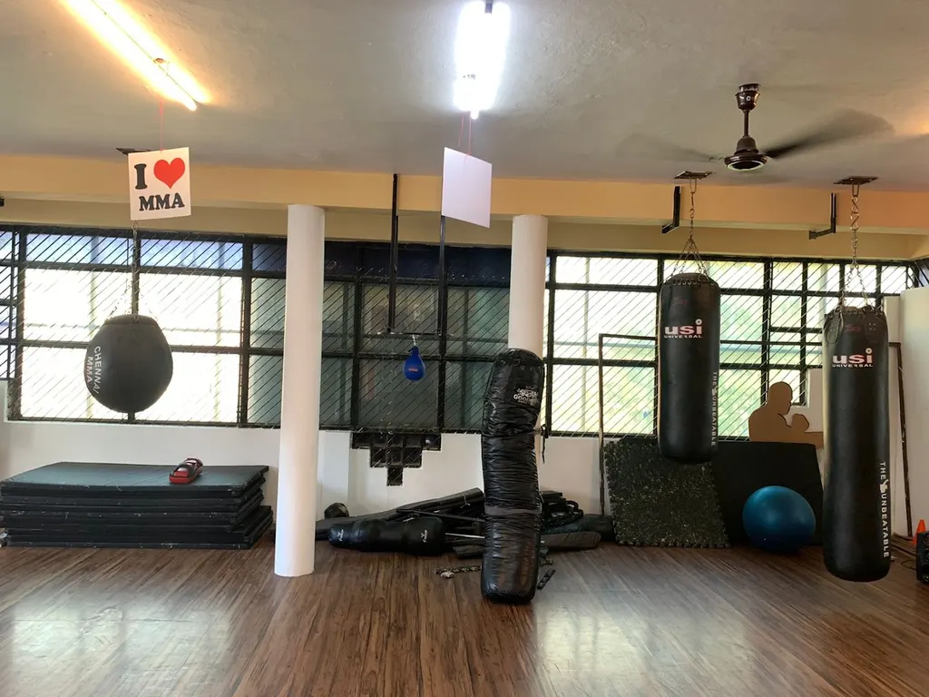 Chennai Mixed Martial Arts Training Academy — Martial Arts in Adyar