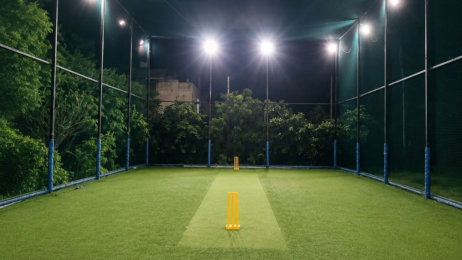 Playbox Cricket Turf photo 1