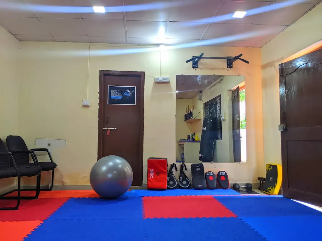 ARROW TAEKWONDO ACADEMY — Martial Arts in Hafeezpet