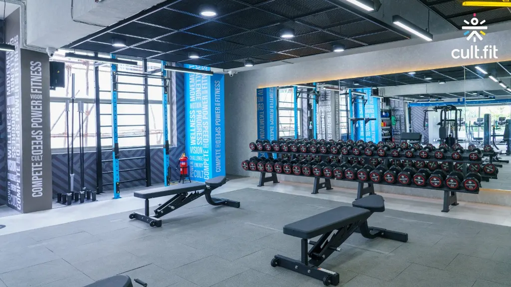 Cult Gym C Scheme — Yoga in New Colony