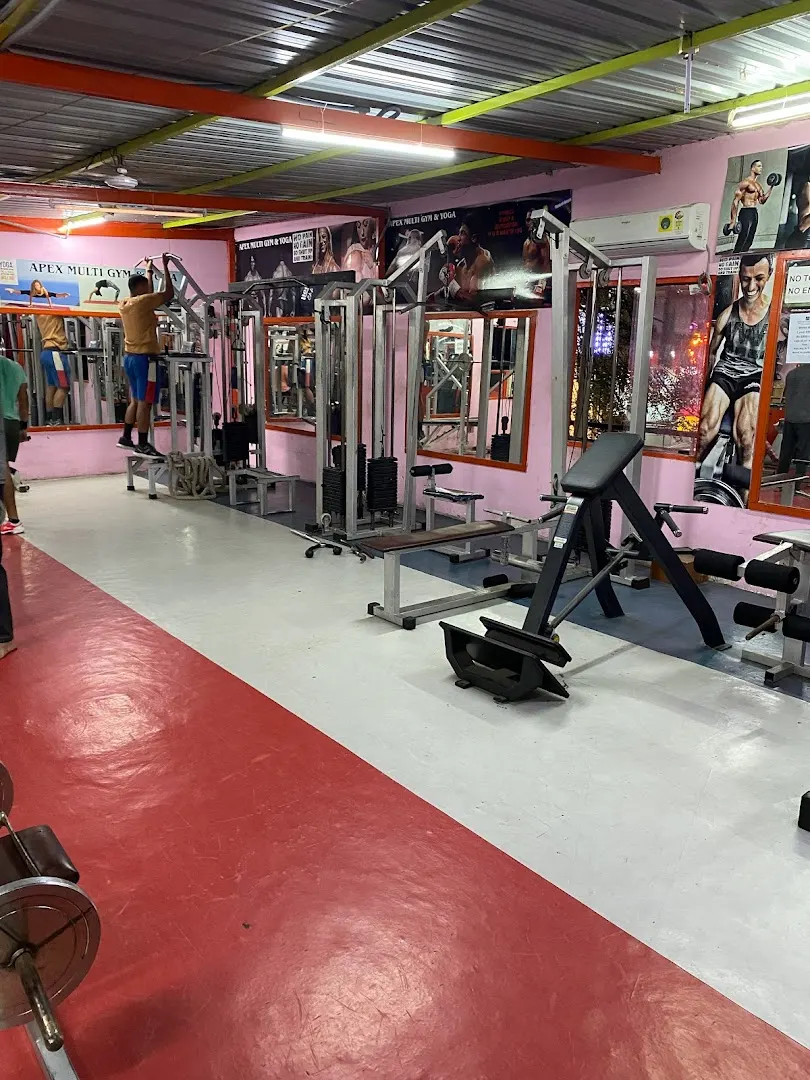 Apex Multi Gym & Yoga — Yoga in Gachibowli