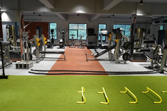 Dumbbell Bee Fitness GYM