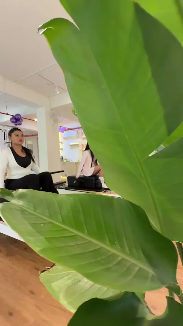 Blissful Monkey Studio — Yoga in Ballygunge