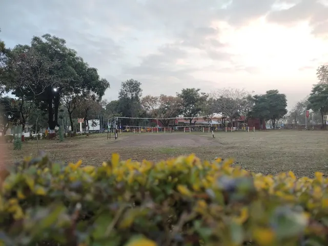 Volleyball Ground