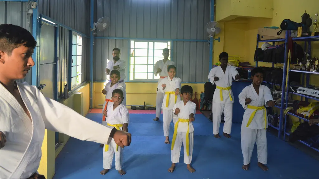COLT KARATE Saidapet — Martial Arts in Saidapet
