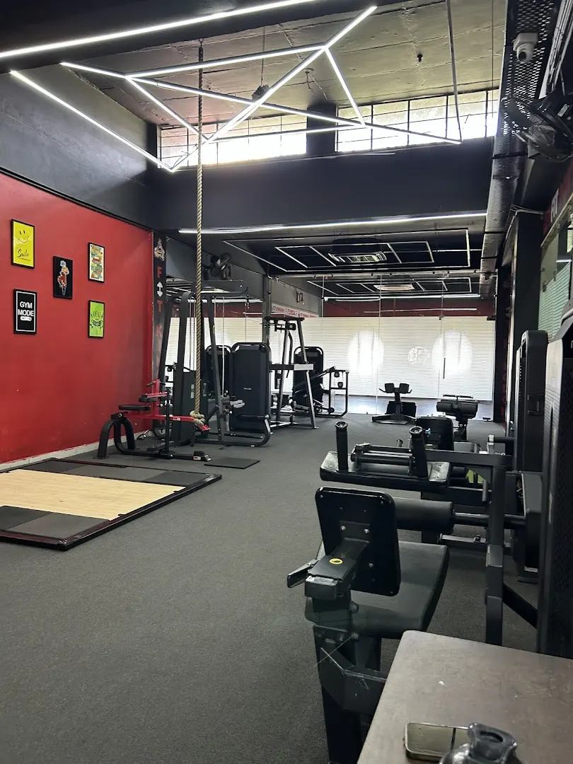 Fit Kingdom Gym & Spa — CrossFit & Functional Training in Sector 11, Panchkula