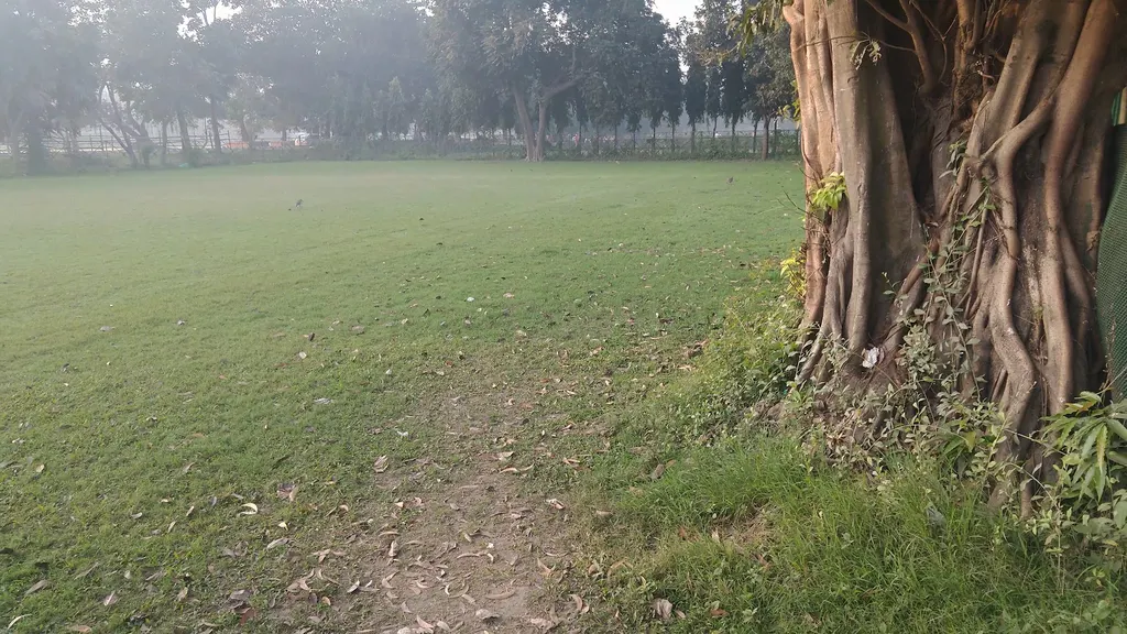 Calcutta Rangers Club (Tent) — Cricket in Maidan