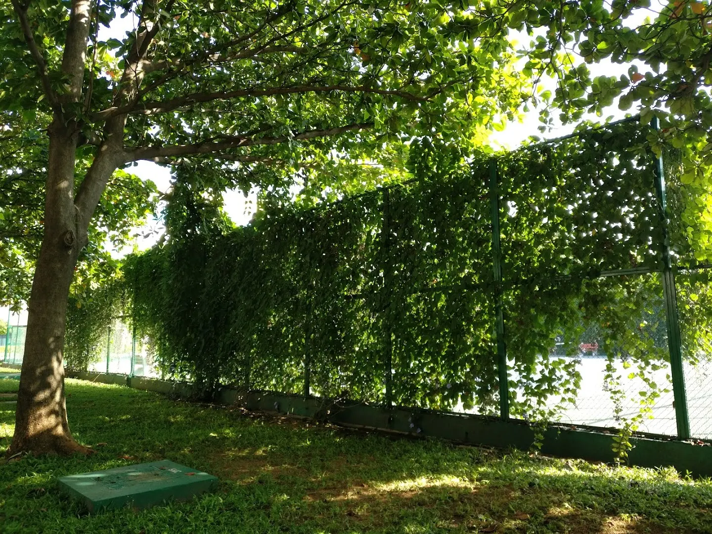 Infosys Tennis Court photo 1