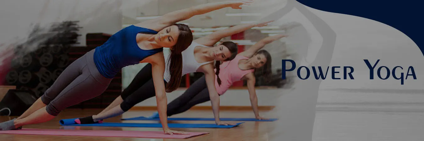 V33 Fitness Studio & Teacher Training Institute– Yoga photo 1