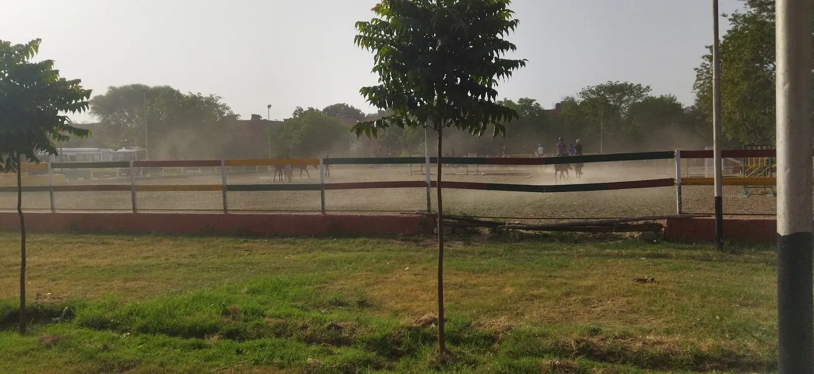 horse riding field photo 1