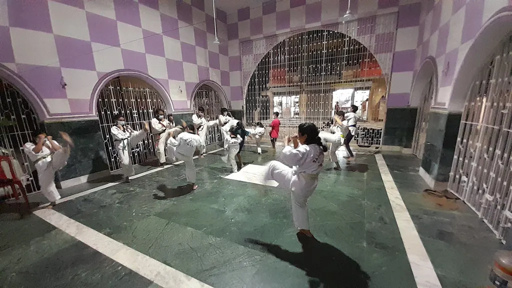 South Kolkata Traditional Taekwondo Academy — Martial Arts in Paschim Barisha