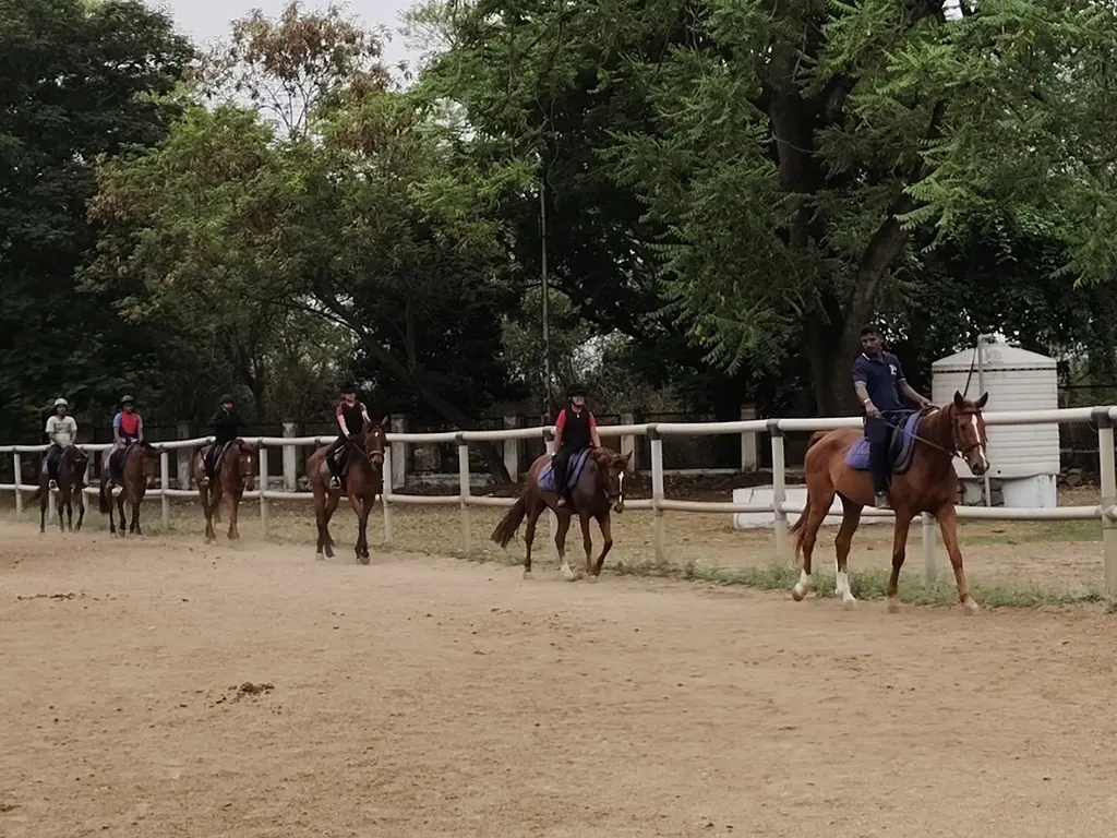 Southern Star Riding School — Horse Riding in Camp