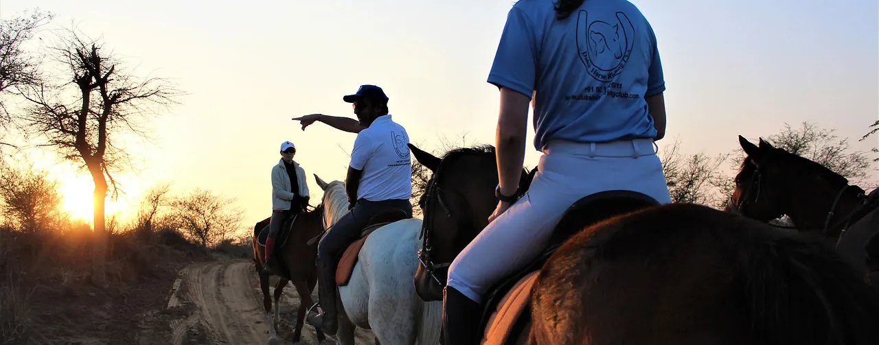 Horse Riding Club — Horse Riding in Sector 70, Gurugram