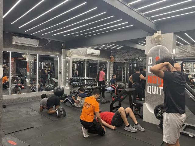 Sturdy Fitness V — Yoga in Haltu