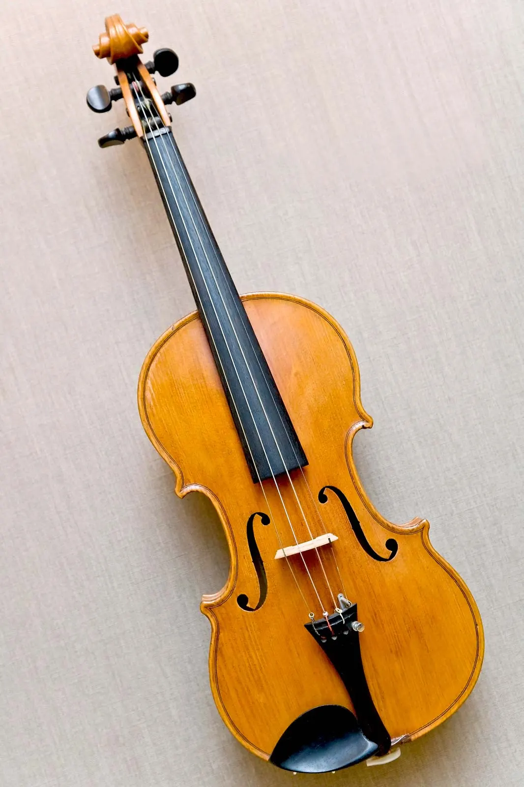 Shan's Music School Guitar Piano Singing — Music in Vasant Kunj, Delhi