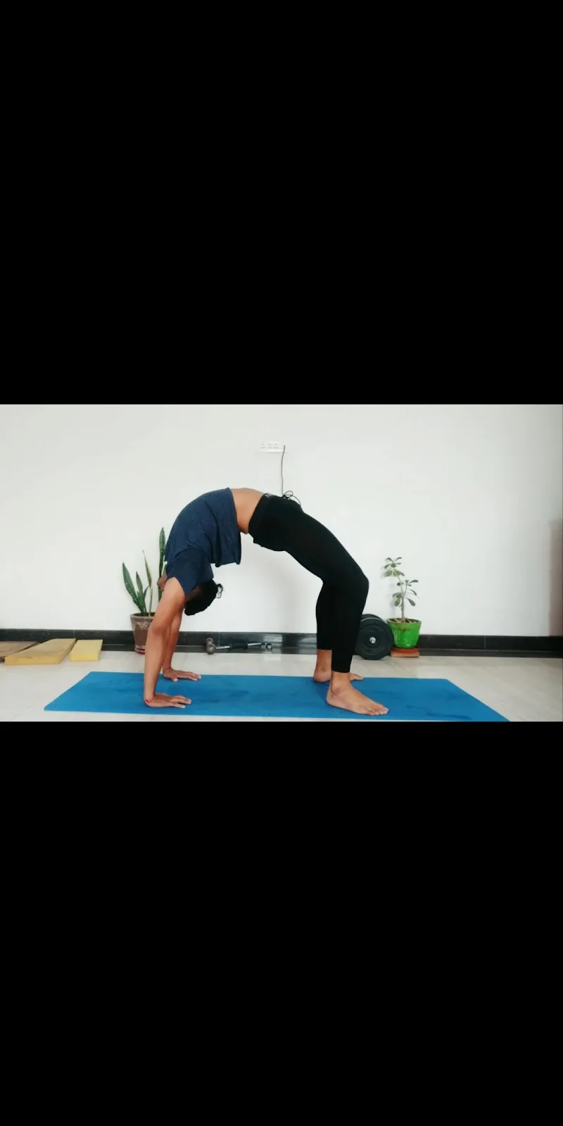 FITADDCITS with Ansh Vyas - Health, fitness and Yoga — Yoga in Hiran Magri