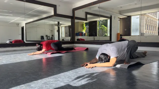 Align Your Prana — Yoga in Wanwadi