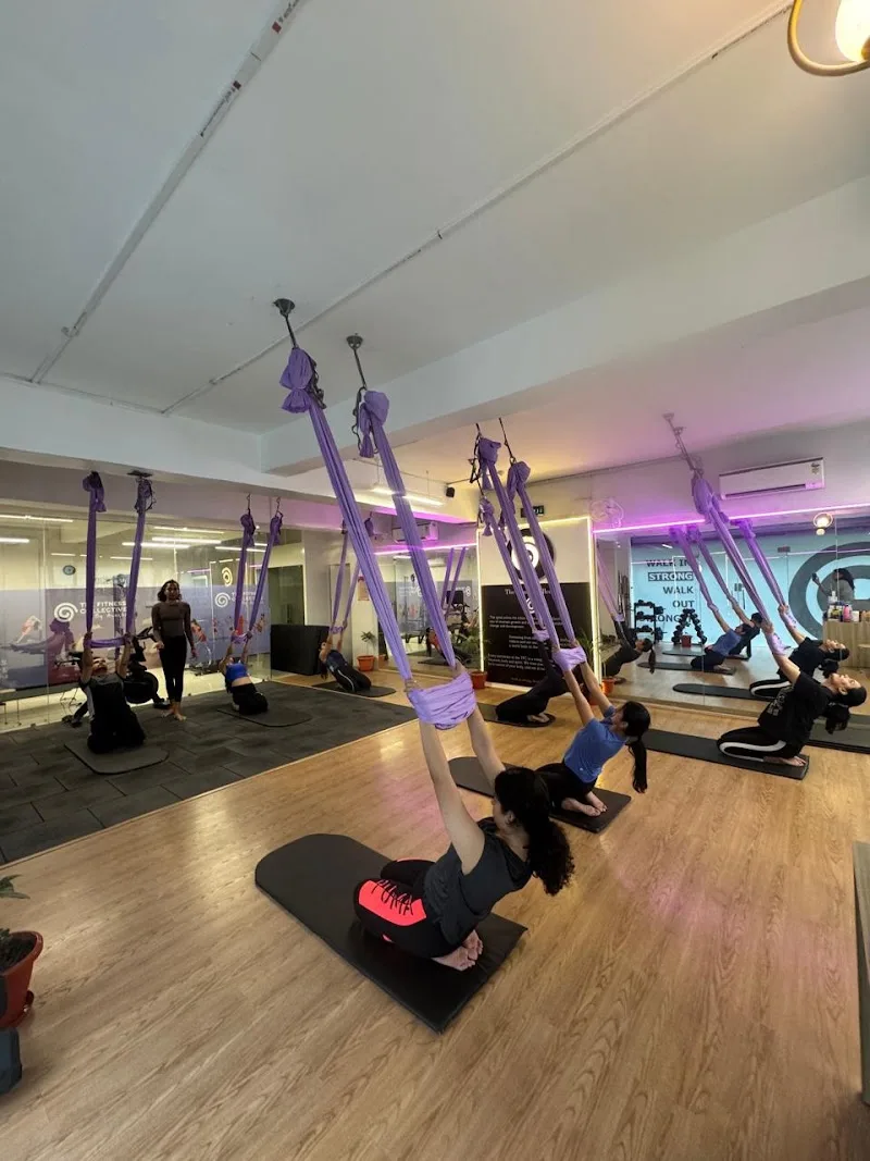 The Fitness Collective photo 1