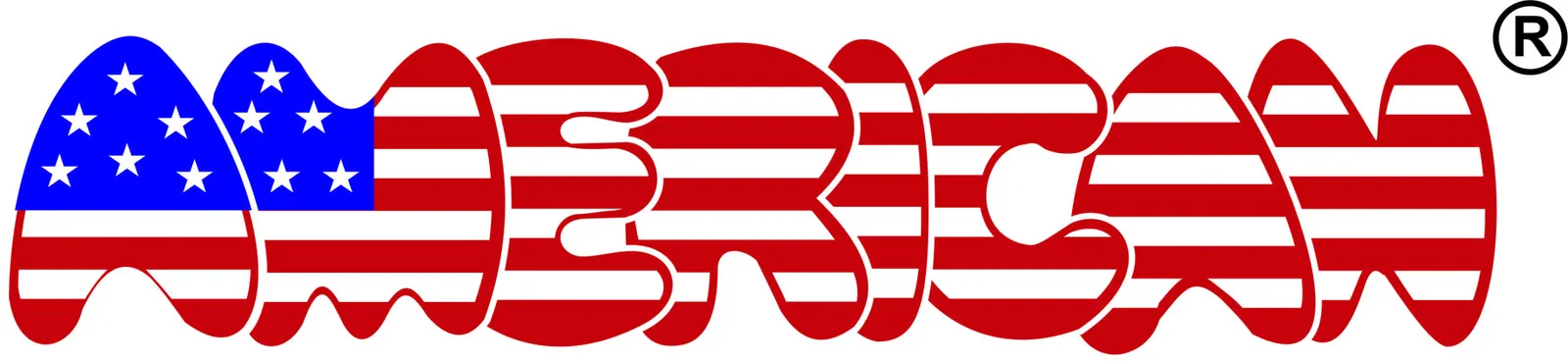 American Institute Of English Language PVT LTD — Language in Sector 22, Noida