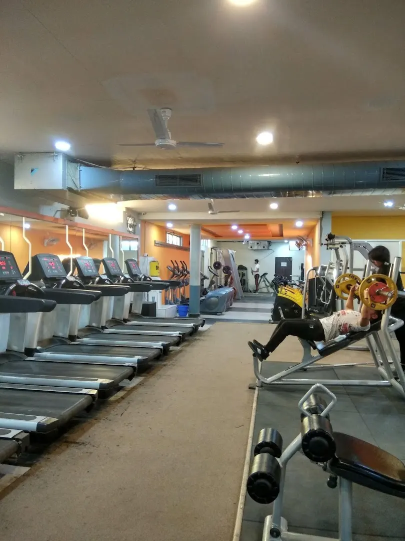 B Fit The Absolute Gym photo 1