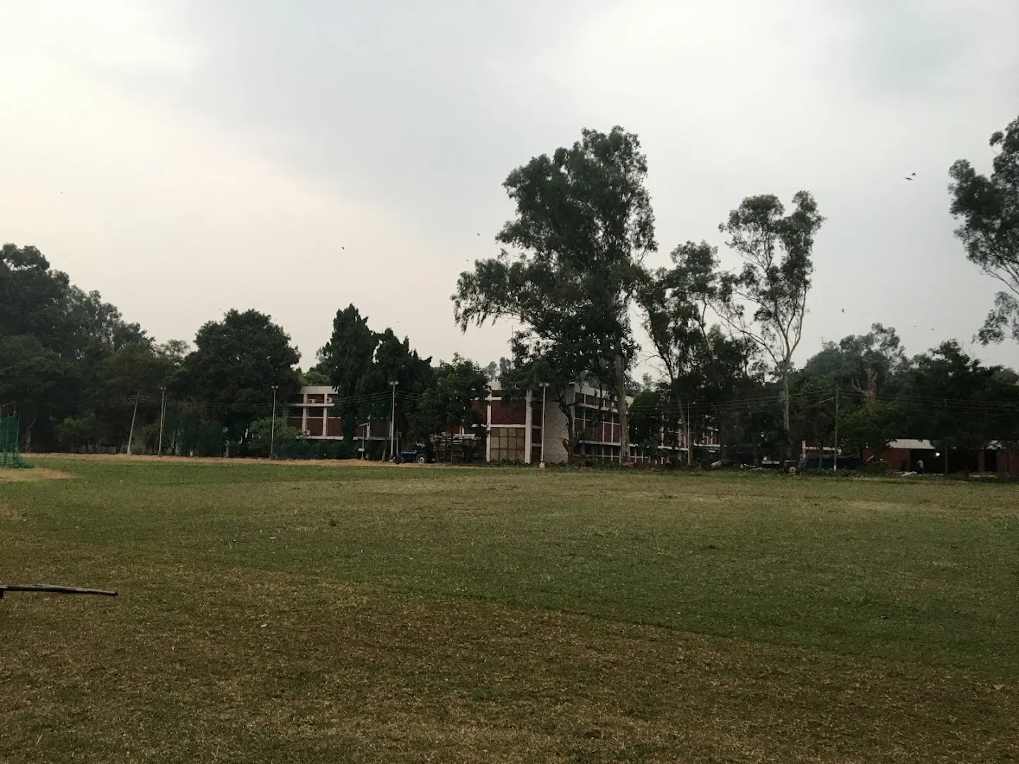 Arun Tuli Cricket Academy photo 1
