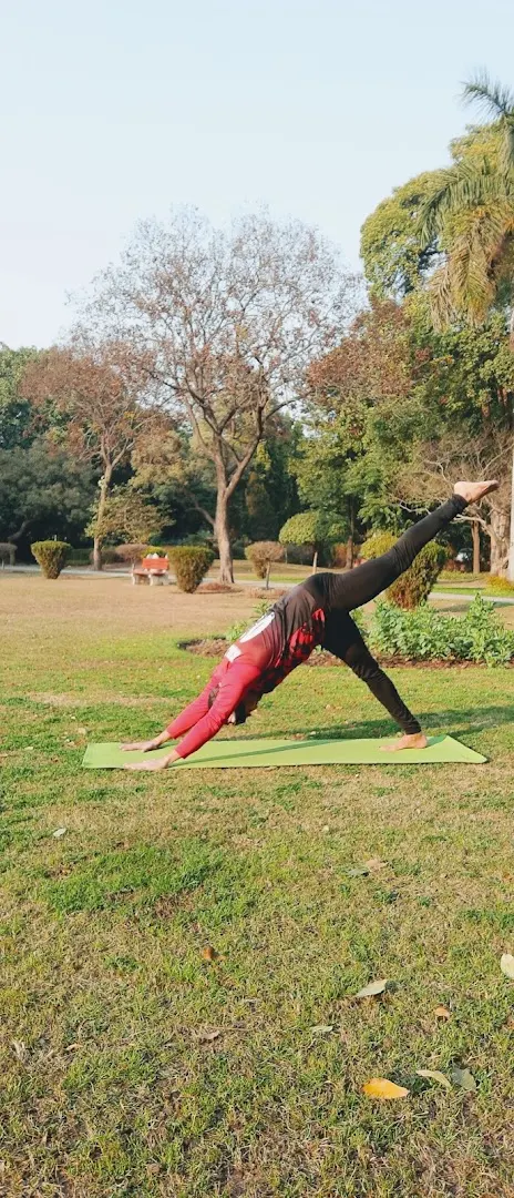 Yoga Trainer — Yoga in Sector 46