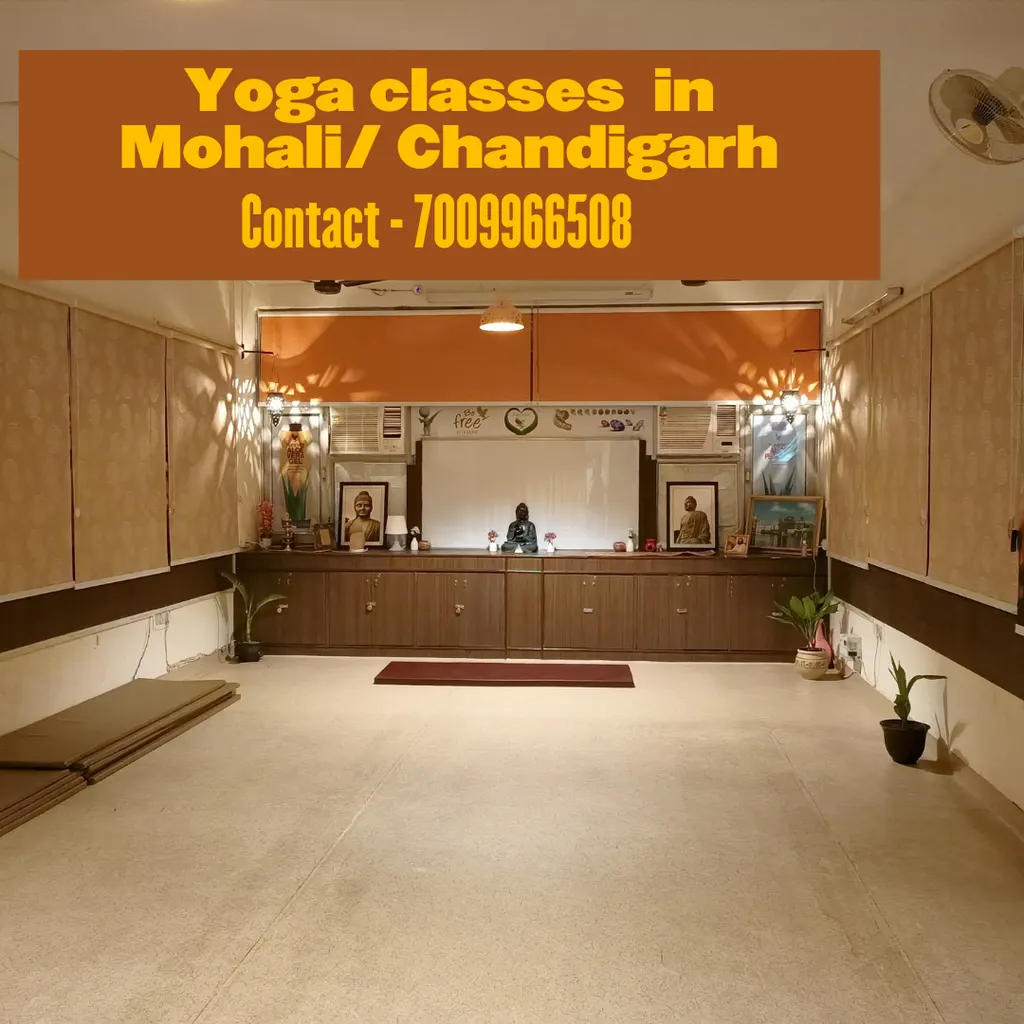 Prana Nutrition & yoga center — Yoga in Sector 64