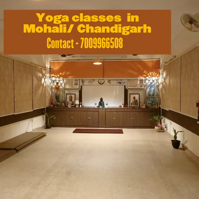 Prana Nutrition & yoga center — Yoga in Sector 64