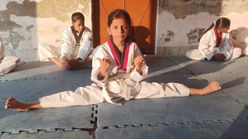 V Team Taekwondo Academy — Martial Arts in Rishi Nagar
