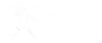 Padukone Scool of Badminton