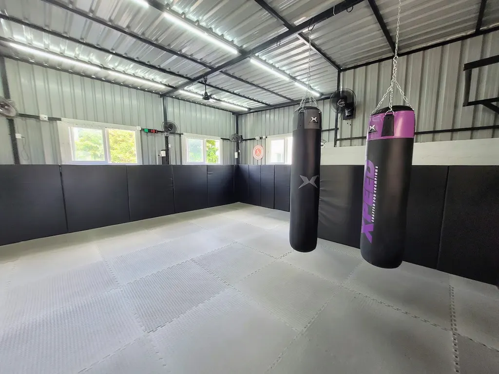 LimitLess Boxing — Martial Arts in Anna Nagar