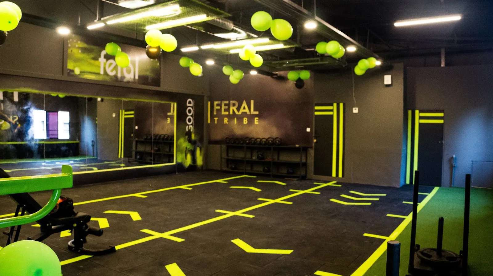 Feral Fitness — CrossFit & Functional Training in West Mambalam, Chennai