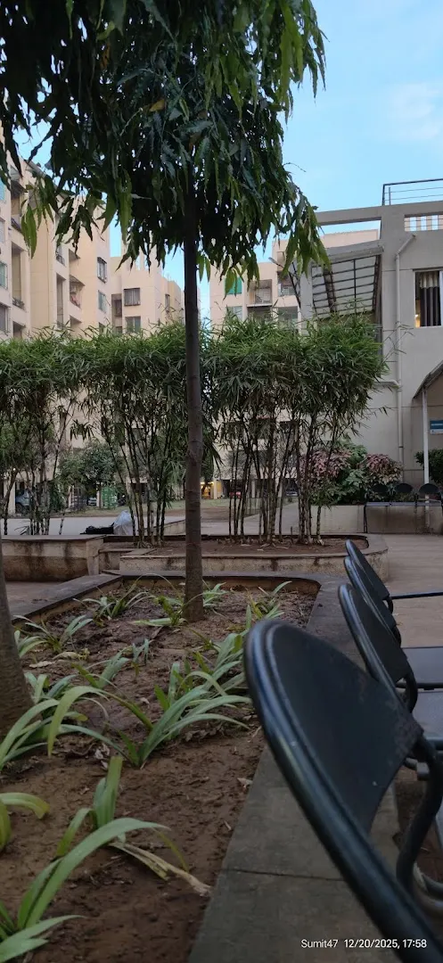 Club Swiss — Swimming in Thergaon