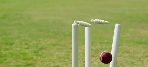 R.R Sehlot Cricket Ground Atour — Cricket in Raj Nagar Extension
