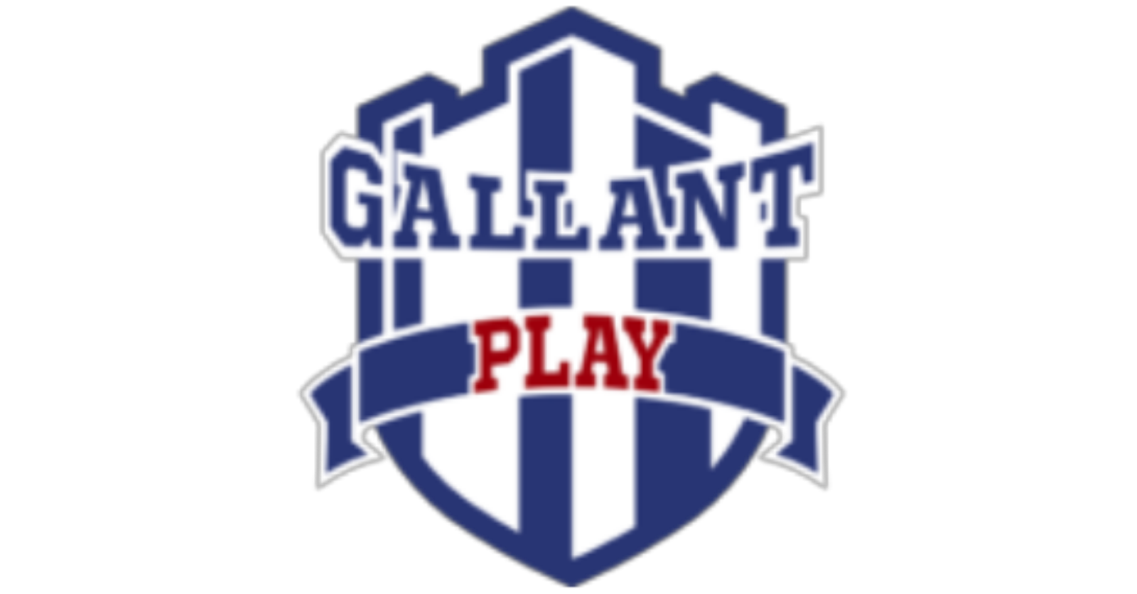 Gallant Play Arena Dwarka