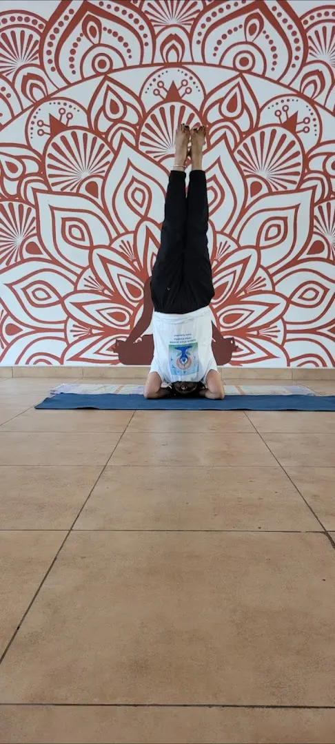 Ananda home personal yoga and vastu center — Yoga in Langar Houz