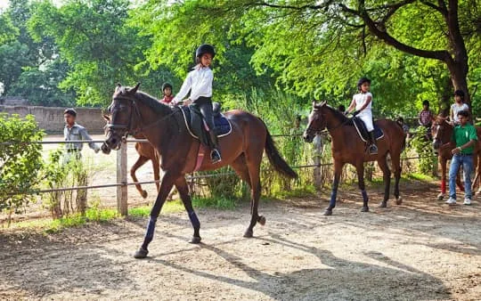 Gallop Sports Club Horse Riding and Equestrian — Horse Riding in Kaonli
