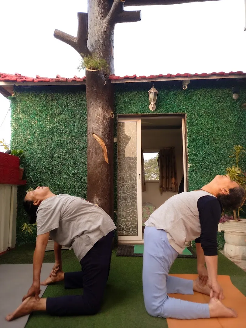 Optimum Mindfulness Yoga Classes — Yoga in Entally