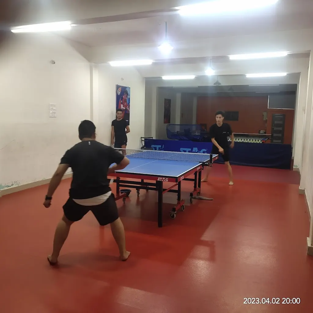Sports Frenzy — Tennis in Washermanpet
