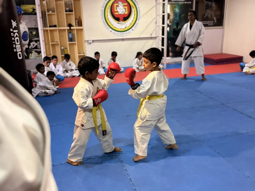 Okgksi GojuGopi dojo. Institute of Karate vinayagapuram — Martial Arts in Lakshmipuram