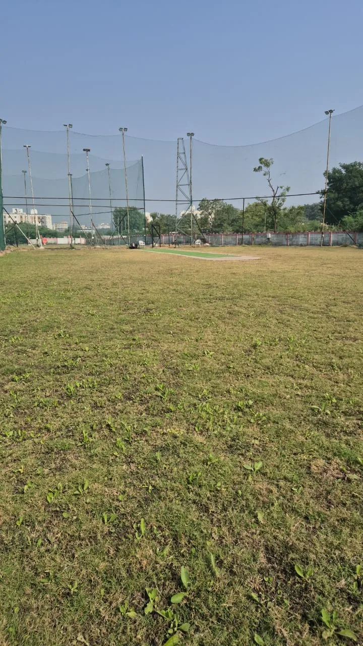 The Giant Cricket BOX — Cricket in Vajdi