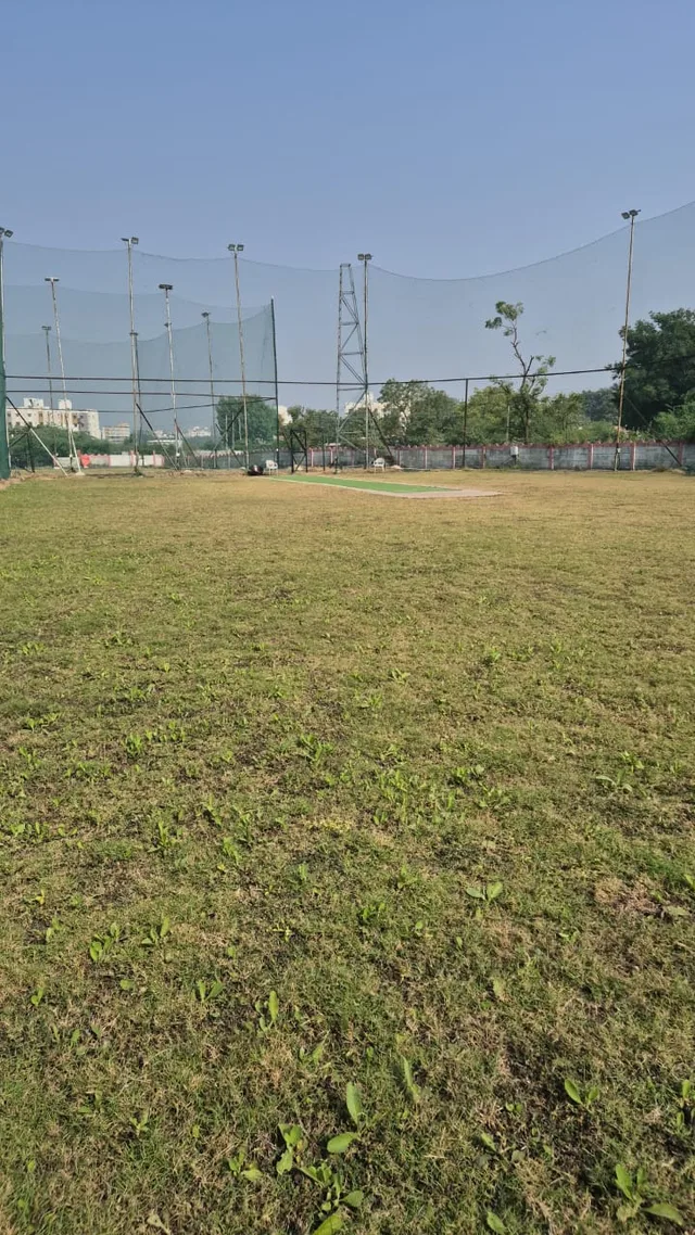 The Giant Cricket BOX — Cricket in Vajdi