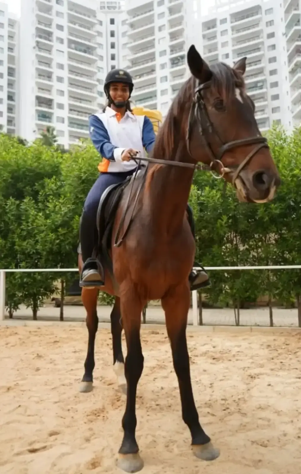 Zippy Equestrian Center — Horse Riding in JP Nagar, Bengaluru