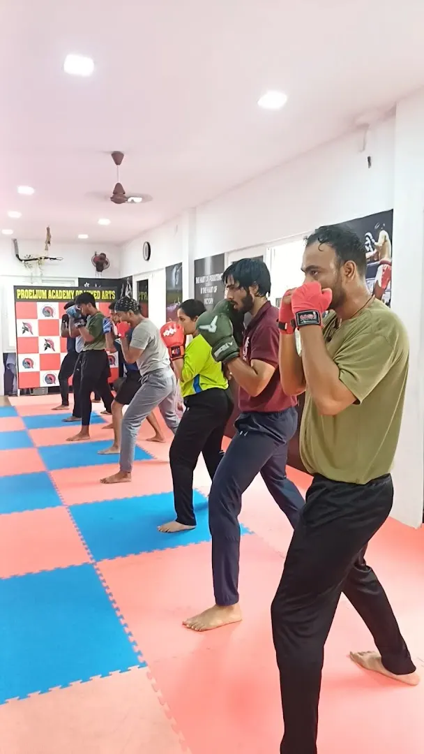 Proelium Academy Of Mixed-Arts| Karate — Martial Arts in Ambattur