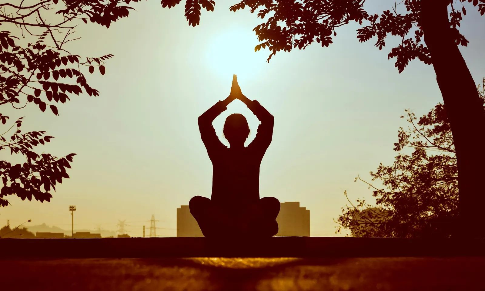 Amrutaam Yoga photo 1