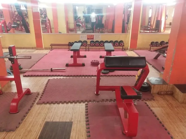 Impact Gym