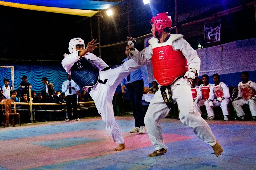S.K. Academy of Taekwondo — Martial Arts in Beniatola