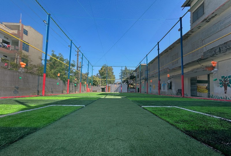 The Velocity Turf